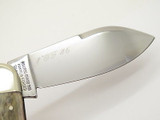Vtg 1995 Bulldog Brand Bluegill Sunfish 1 Of 46 Elephant Toenail Knife