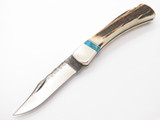 2007 Custom Buck 110 Stag Turquoise Chipflint Folding Hunter Lockback Knife