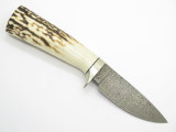 Vtg Charlton LTD Sambar Stag Damascus Custom Fixed Blade Hunting Knife & Sheath