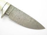 Vtg Charlton LTD Sambar Stag Damascus Custom Fixed Blade Hunting Knife & Sheath