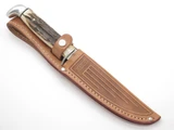 Vtg 1977 Case XX 516-5 SSP Blue Scroll Stag Fixed 5" Blade Hunting Knife