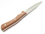 Vintage Hanson Japan Clip Point Fixed Blade Wood Handle Hunting Knife & Sheath