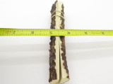 Vtg 5.5 x1.25 India Sambar Stag Scale Slab Knife Making Handle Grip Blank