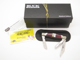 Custom Buck 303 Bucklock 0303PESLE Limited Michael Prater Painted Pony Knife 73