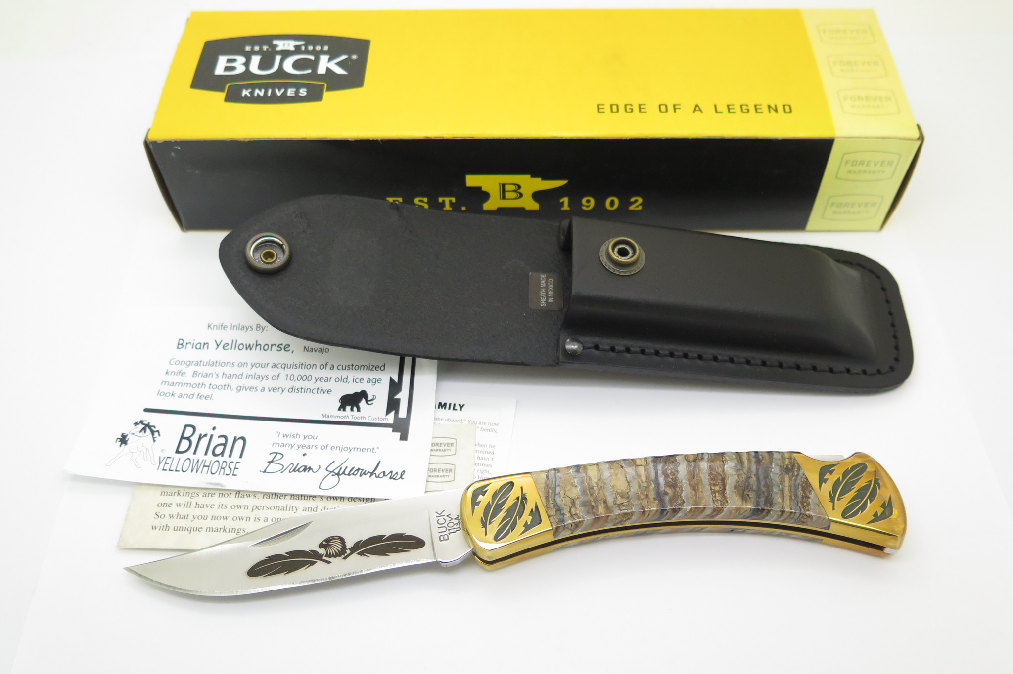 Custom Brian Yellowhorse Buck 110 Feather Engraved Lockback 