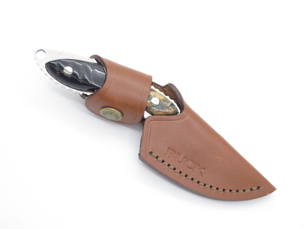 Buck 196 Mini Alpha Hunter Custom Buffalo Horn Small Fixed Blade