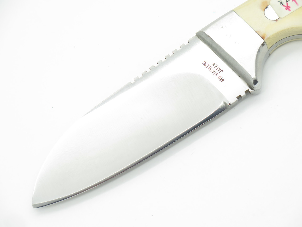 【naoyuki】MUTA MARINE BONE MARLIN Tシャツ [全3色] – muta Online Store