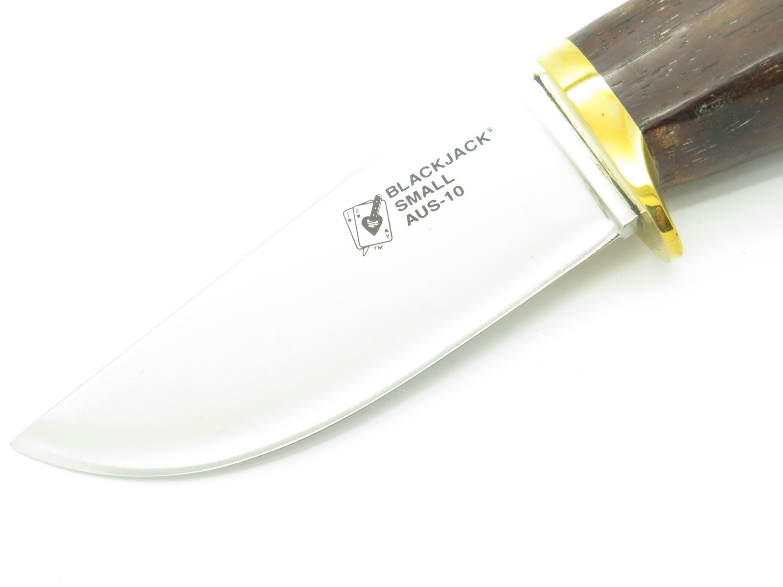 Vtg Blackjack Small Knifeware Seki Japan Wood & AUS-10 Fixed Blade