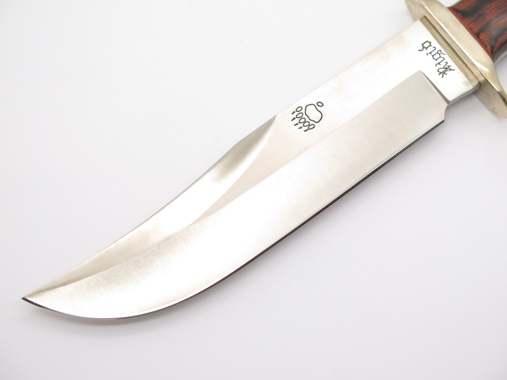 Vtg Rigid Seki Japan Tak Fukuta Bear Paw Bowie AUS-8 Fixed Blade 