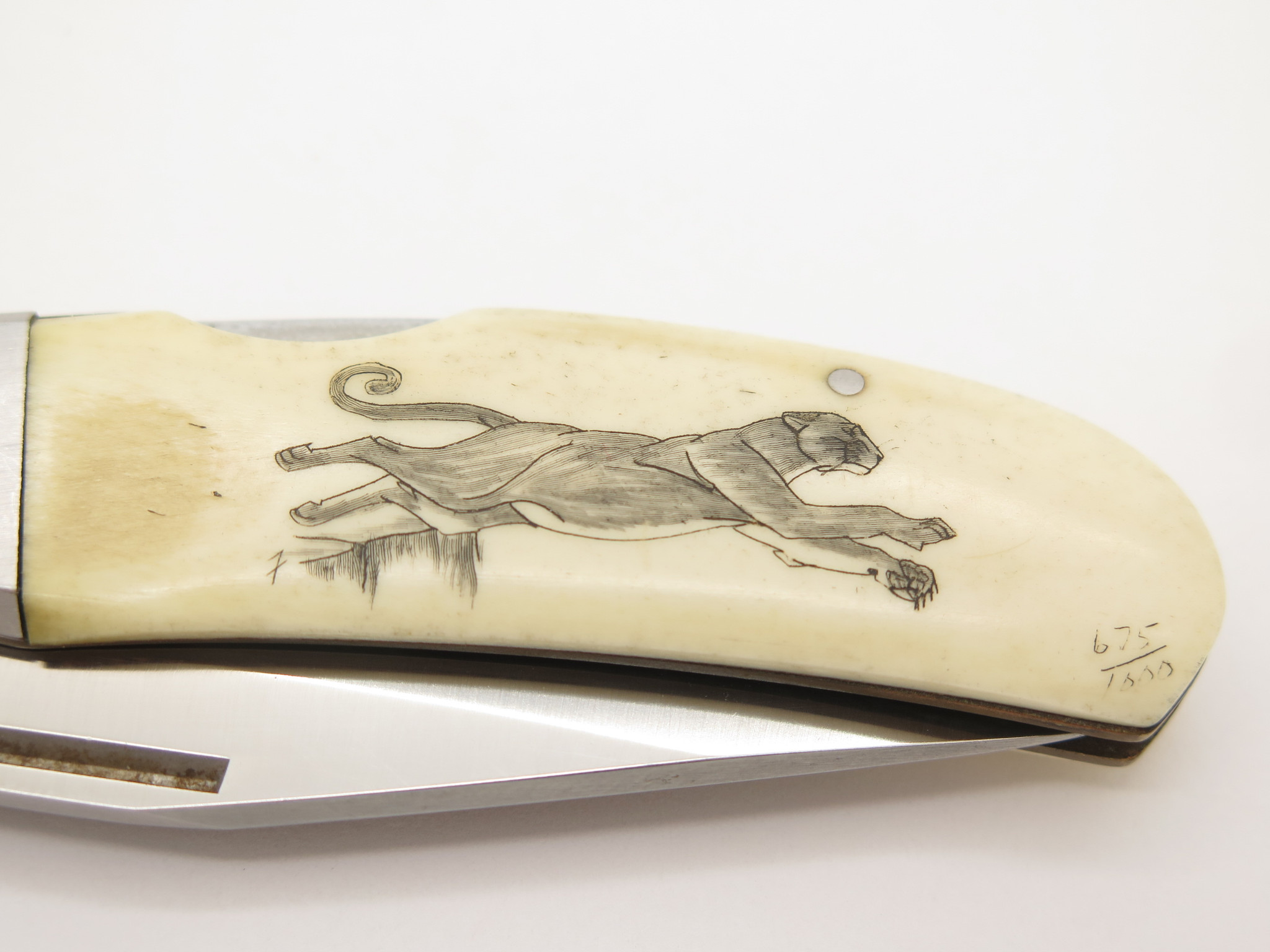 Vtg Kershaw Kai 4200 Seki Japan Lion Scrimshaw Folding Pocket