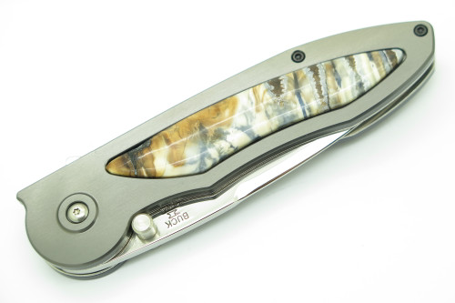 2006 Buck 296 Tempest SN-003 WBC Limited Edition Custom Folding Pocket Knife