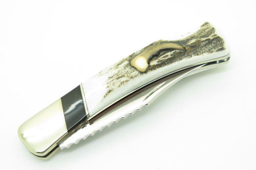 Custom '10 Buck 503 Prince WBC Bear Claw Elk Horn Small Folding Pocket Knife