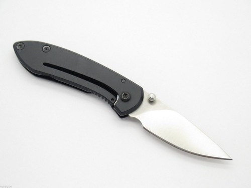 Buck 325 Colleague Small Mini Gentleman Folding Pocket Stainless Black Handle