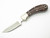 Vtg Frost Seki Japan Small Palm Skinner Fixed Blade Hunting Knife and Sheath