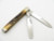 Case Classic XX 52085 Sambar Stag Doctor Physicians Folding Pocket Knife