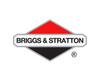 Briggs and Stratton