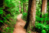 Top Off-Road & 4x4 Trails Near Beaverton, OR