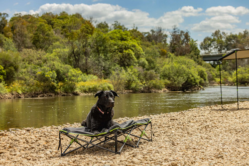 Quick Fold Dog Bed with Padded Mat (XL) Quick Fold Dog Bed with Padded Mat (XL)