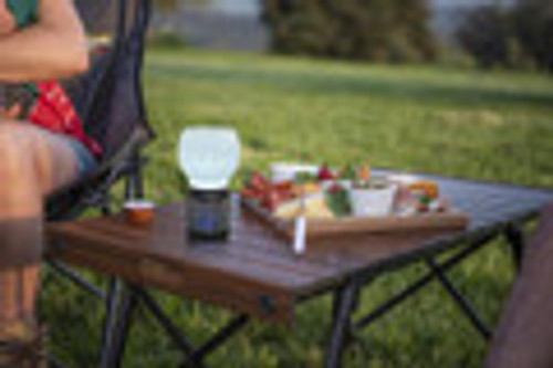 RECHARGEABLE LED LANTERN AND BUG ZAPPER RECHARGEABLE LED LANTERN AND BUG ZAPPER