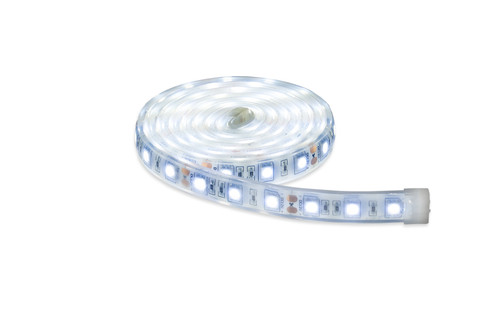 LED 12V Light Strip & Switch