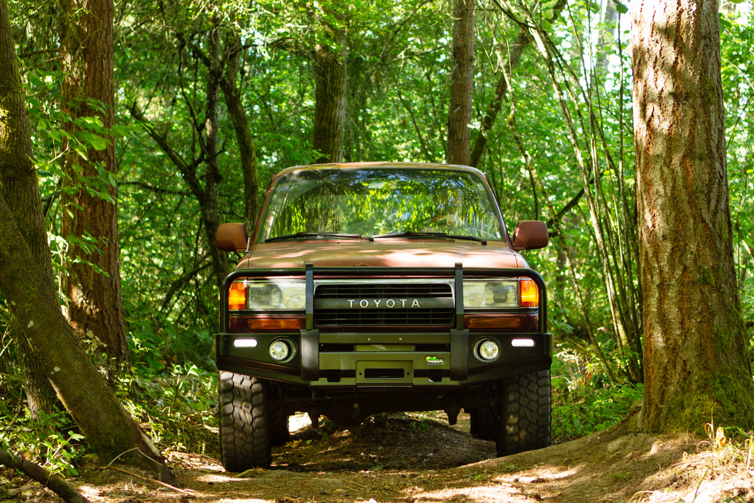 80_Series_Suspension_Kit_Lifes