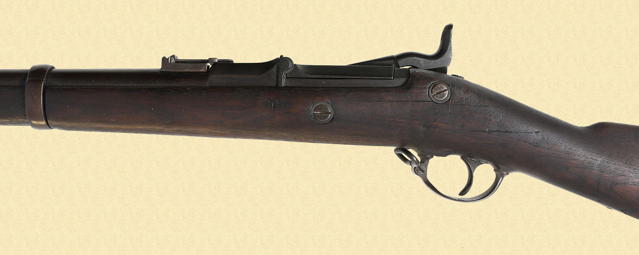 SPRINGFIELD MODEL 1870 - C60590