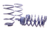 H&R Sport Springs for 09-11 BMW 335d Sedan E90 - 29187-5