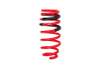 Eibach Pro Kit Lowering Springs for 15+ Challenger SRT Hellcat