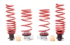 H&R VTF Adjustable Lowering Springs for 15-17 BMW M3 / M4 Coupe