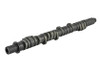 Skunk2 Tuner Series Stage 2 Camshaft for D-Series Honda