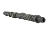 Skunk2 Tuner Series Stage 2 Camshaft for D-Series Honda