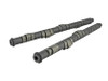 Skunk2 Tuner Series Stage 2 Cam Shafts for Honda H22A/F20B DOHC VTEC