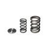Skunk2 Alpha Series Valve Spring / Retainer Kit for Honda/Acura H Series