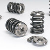 Skunk2 Alpha Valve Spring & Titanium Retainer for 02-06 RSX / 06-11 Civic SI