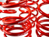 Skunk2 Lowering Springs for 12-13 Civic SI - 519-05-1585