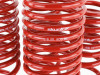 Skunk2 Lowering Springs for 90-97 Accord DX / EX / LX - 519-05-1630