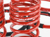 Skunk2 Lowering Springs for 02-04 RSX / RSX Type S - 519-05-1670