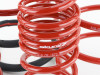 Skunk2 Lowering Springs for 05-06 RSX / RSX Type S - 519-05-1672