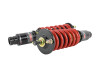 Skunk2 Pro-ST Coilovers for 96-00 Honda Civic - 541-05-8725
