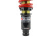 Skunk2 Pro-ST Coilovers for 96-00 Honda Civic - 541-05-8725