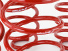 Skunk2 Lowering Springs for 16-18 Honda Civic - 519-05-1775