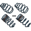 Hotchkis Sport Coil Springs for 10-15 Camaro - 19110