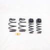 RS-R Super Down Springs for 2019+ Toyota Corolla Hatchback  - T577S