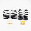 RS-R Super Down Sus Springs for 2018+ Honda Civic Type R (FK8) - H059S