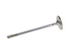 Manley Triple Groove 37mm Race Master Intake Valves for Ford 4.6L DOHC (4 Valve)