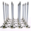 Skunk2 Alpha Valves - STD Comp D VTEC - 30mm/ 26mm for 92-00 Civic EX