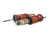 Skunk2 Pro S II Coilovers for 01-05 Civic - 541-05-4740