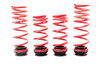 H&R VTF Adj Lowering Springs for 11-16 BMW 528i / 535i - 23000-1