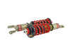 Skunk2 Pro S II Coilovers for 92-95 Civic / 94-01 Integra - 541-05-4720