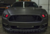 Diode Dynamics RGBW DRL LED Boards for 2015-2017 Ford Mustang